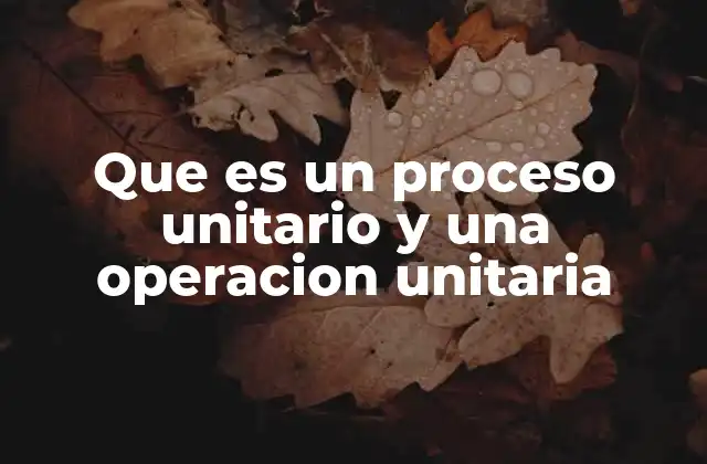 Que es un Proceso Unitario y una Operacion Unitaria
