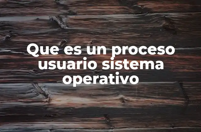 Que es un Proceso Usuario Sistema Operativo