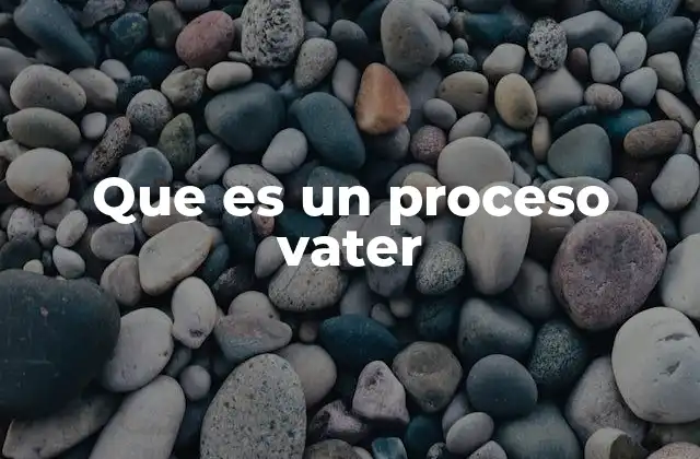 Que es un Proceso Vater