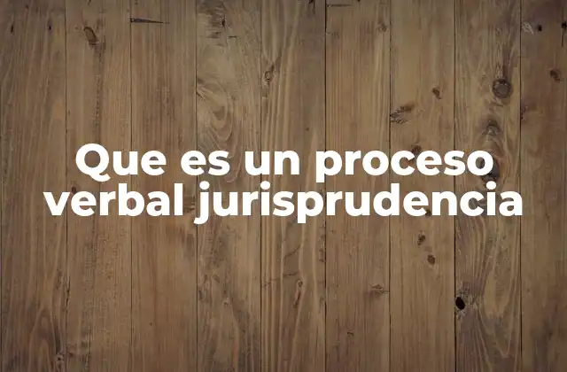 Que es un Proceso Verbal Jurisprudencia