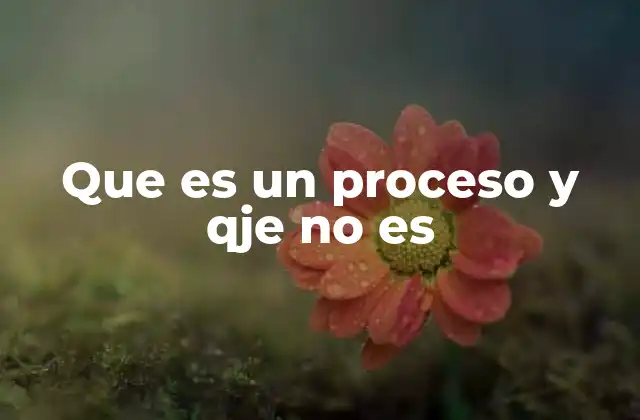 Que es un Proceso y Qje No es