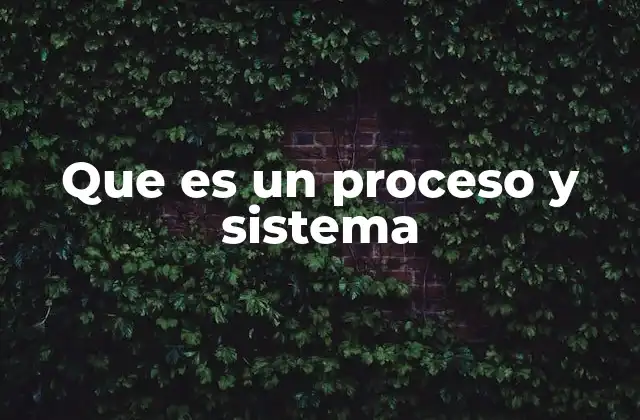 Que es un Proceso y Sistema