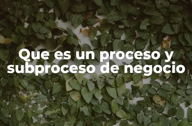 Que es un Proceso y Subproceso de Negocio