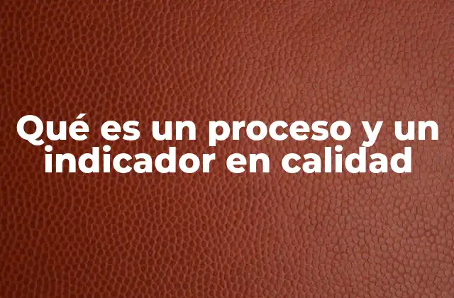 Qué es un Proceso y un Indicador en Calidad