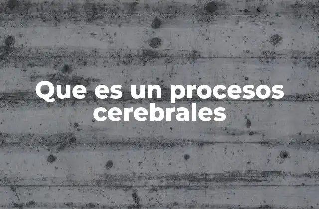 Que es un Procesos Cerebrales