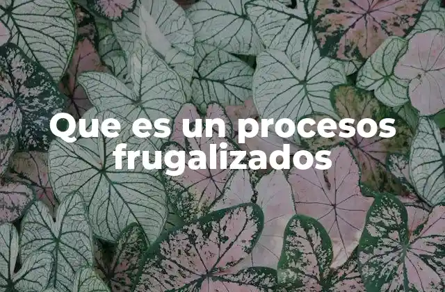 La evolución del enfoque frugal en los negocios
