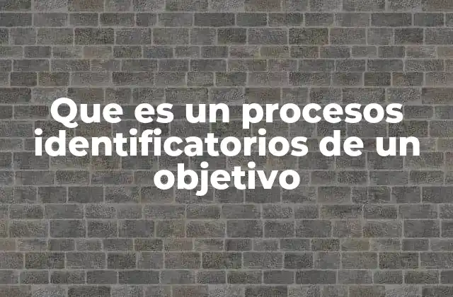 Que es un Procesos Identificatorios de un Objetivo