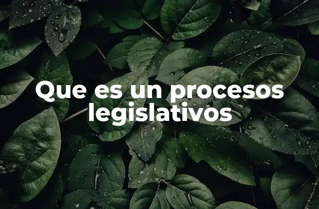 Que es un Procesos Legislativos