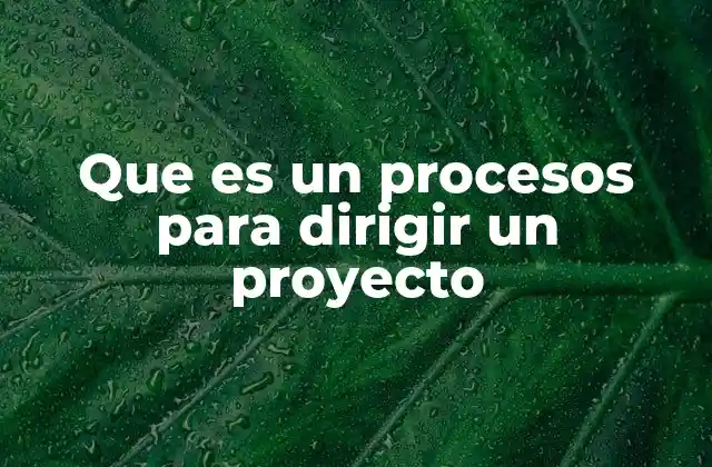Que es un Procesos para Dirigir un Proyecto