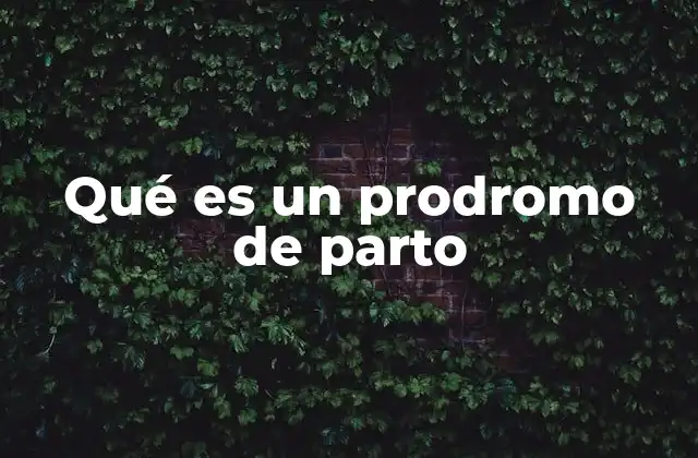 Qué es un Prodromo de Parto 2 Síntomas comunes del prodromo de parto