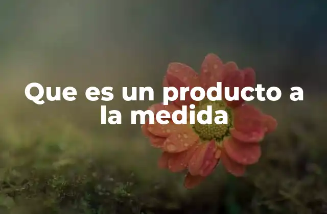 Que es un Producto a la Medida