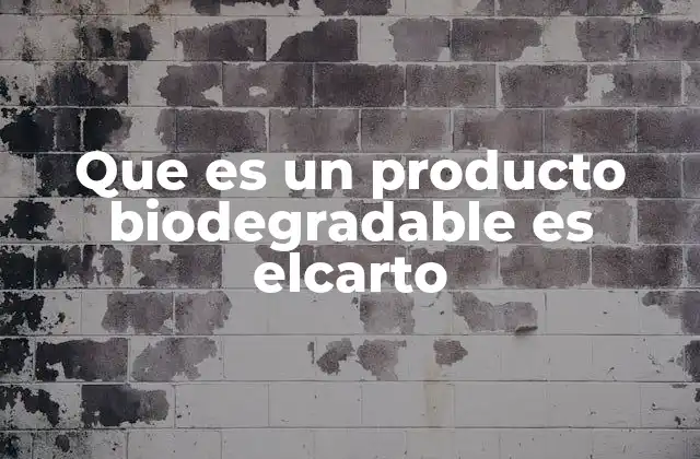 La importancia de los materiales biodegradables en el contexto actual