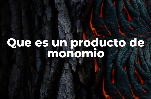 Que es un Producto de Monomio