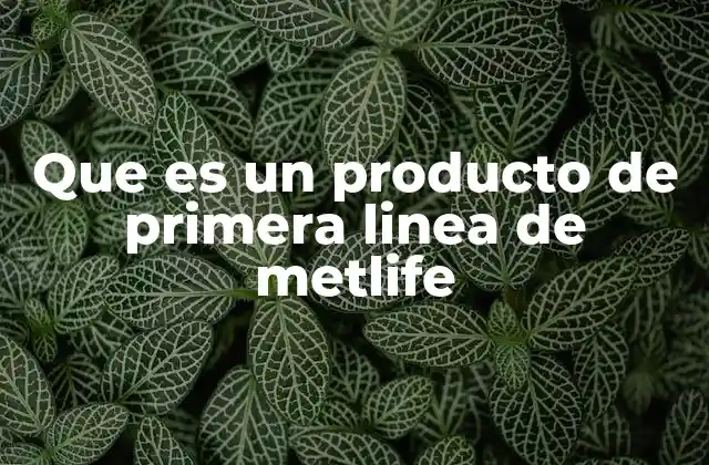 Que es un Producto de Primera Linea de Metlife 2 La importancia de los productos esenciales en el mercado de seguros