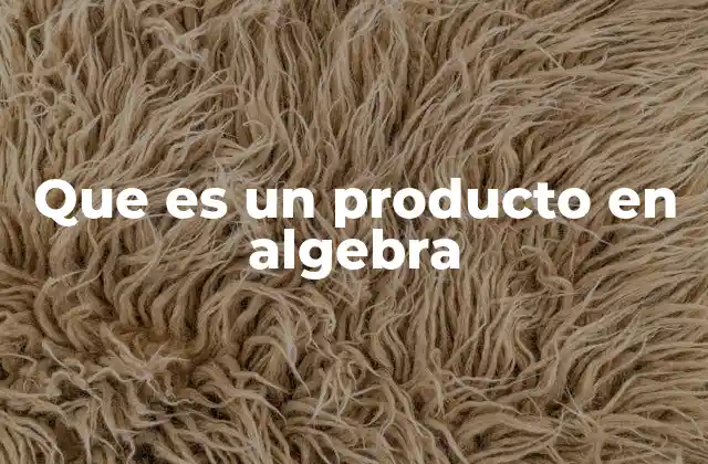 Que es un Producto en Algebra