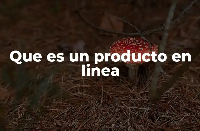 Que es un Producto en Linea