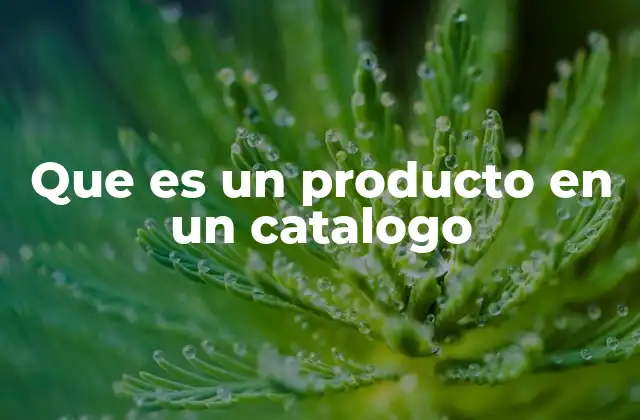 Que es un Producto en un Catalogo