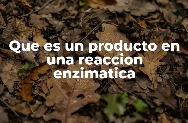 Que es un Producto en una Reaccion Enzimatica 2 El rol de las enzimas en la formación de productos