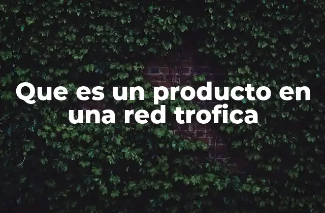 Que es un Producto en una Red Trofica