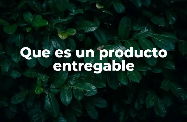 Que es un Producto Entregable