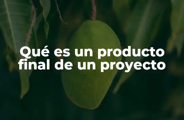 Qué es un Producto Final de un Proyecto