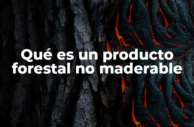 Los beneficios ecológicos y económicos de los productos forestales no maderables