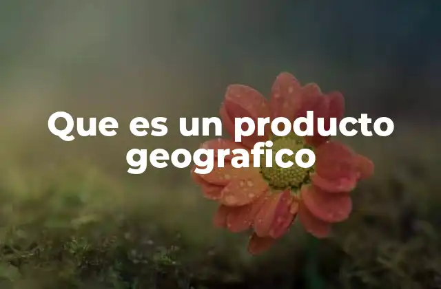 Que es un Producto Geografico