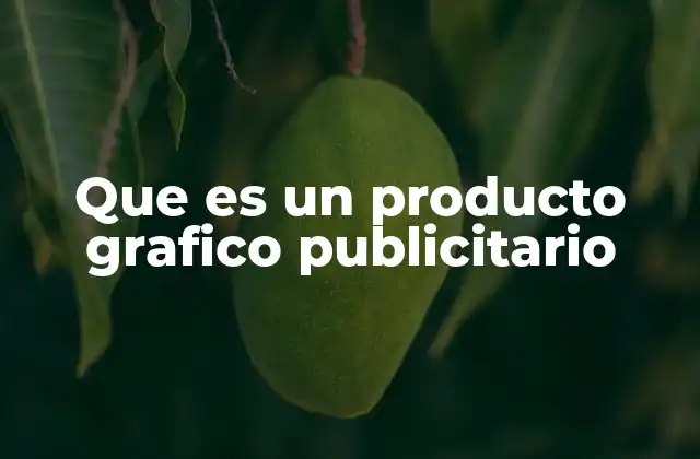 Que es un Producto Grafico Publicitario