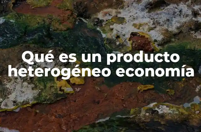 Qué es un Producto Heterogéneo Economía