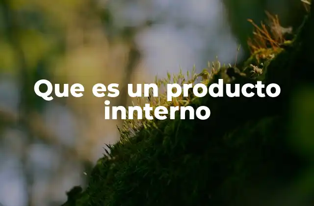 Que es un Producto Innterno