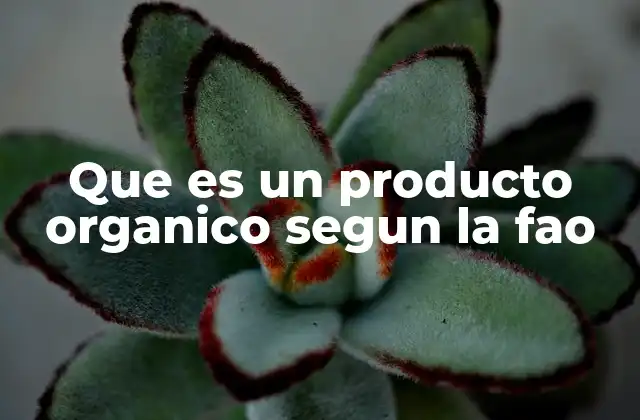 Que es un Producto Organico Segun la Fao