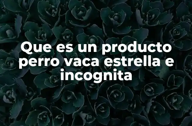 La importancia de la transparencia en los alimentos para perros