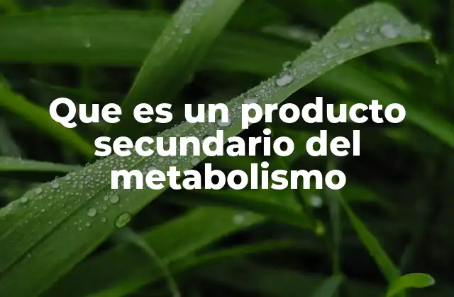 Que es un Producto Secundario Del Metabolismo