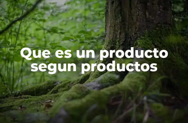 Que es un Producto Segun Productos
