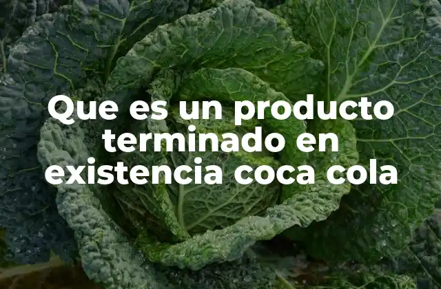 Que es un Producto Terminado en Existencia Coca Cola
