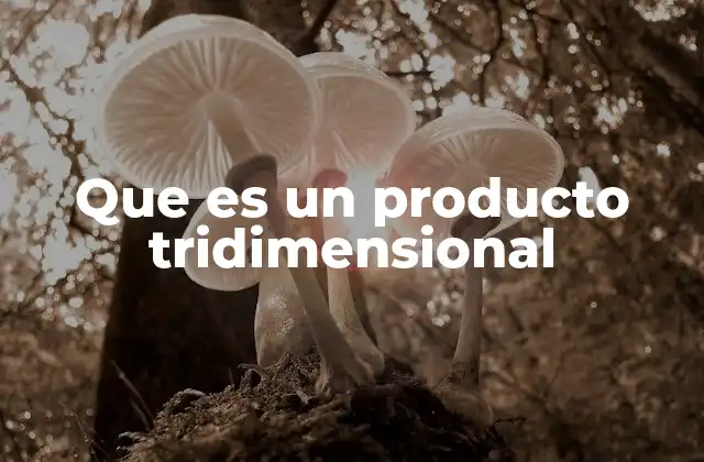 Que es un Producto Tridimensional