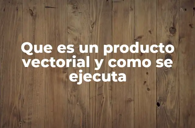 Que es un Producto Vectorial y como Se Ejecuta