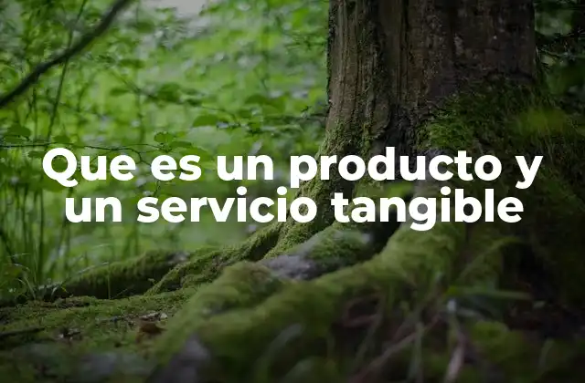 Que es un Producto y un Servicio Tangible