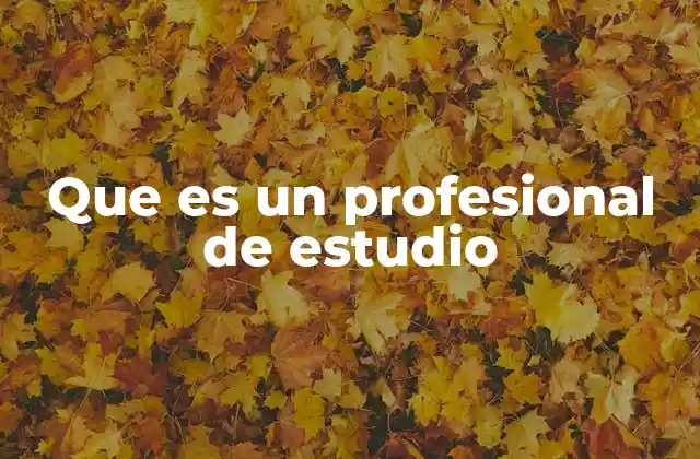 Que es un Profesional de Estudio