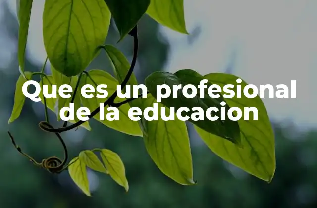 Que es un Profesional de la Educacion