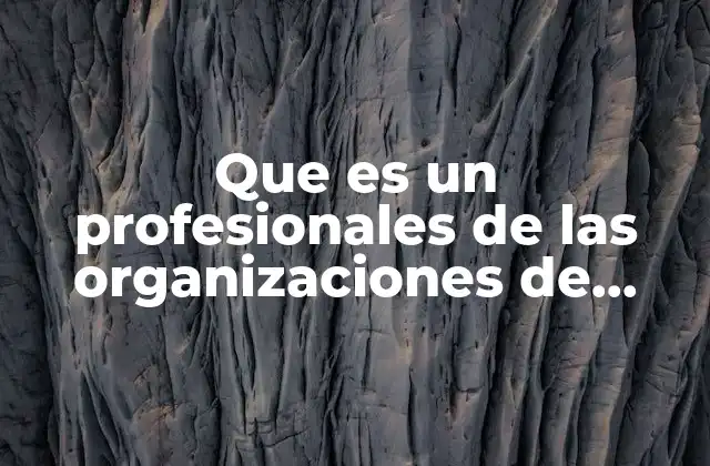 Que es un Profesionales de las Organizaciones de Servicio
