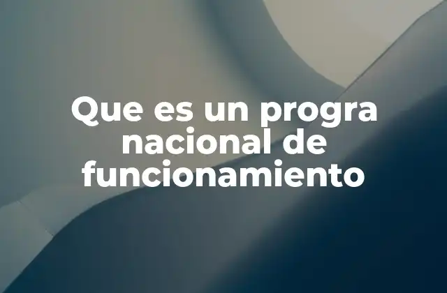 La importancia de los programas nacionales en la gobernanza