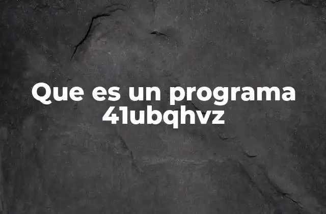 Que es un Programa 41ubqhvz