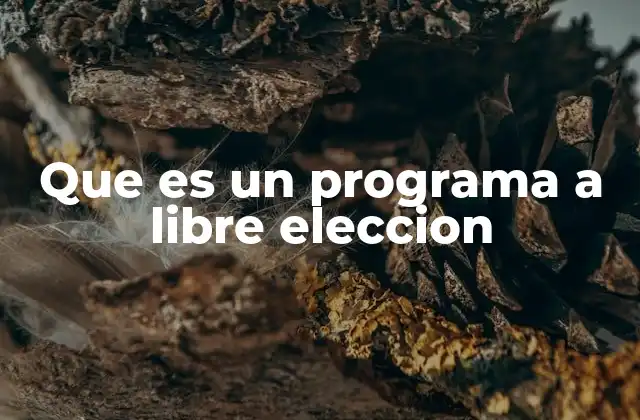 La importancia de los programas a libre elección en la educación