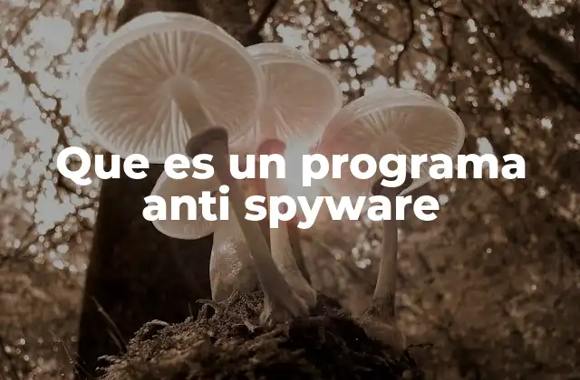 Que es un Programa Anti Spyware