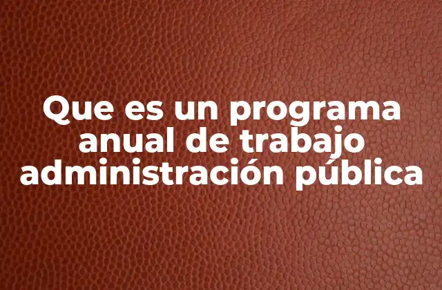 Que es un Programa Anual de Trabajo Administración Pública
