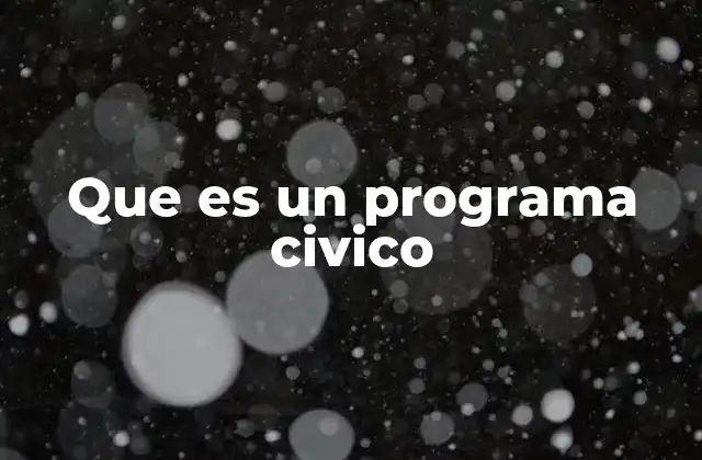 Que es un Programa Civico