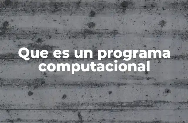 Que es un Programa Computacional