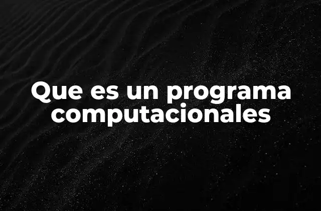 Que es un Programa Computacionales