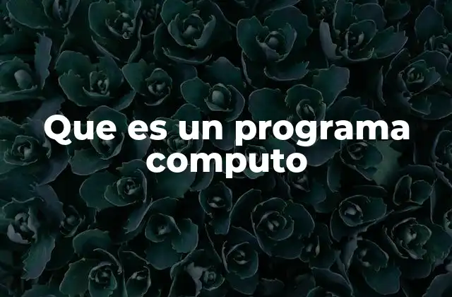 Que es un Programa Computo